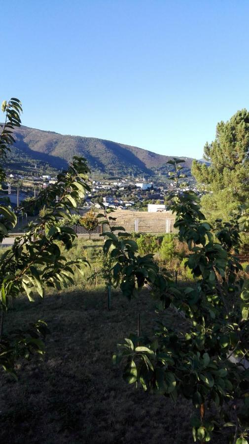 Casa Penelas, Petin Bagian luar foto
